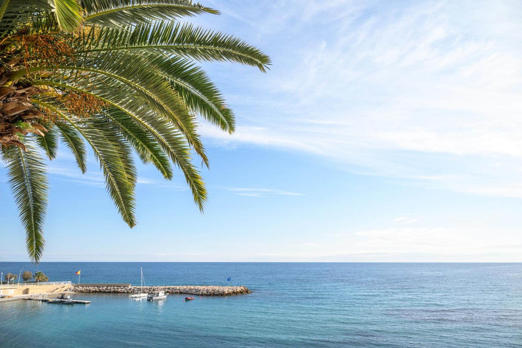 Le Coq Ligures - Air Conditioning - Seafront - Wifi Roquebrune-Cap-Martin Exteriör bild
